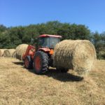 Moving Hay