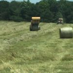 Hay season